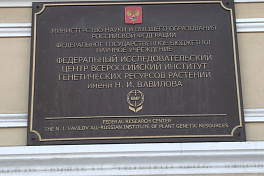 Защита и развитие: ВИР запускает программу генетической паспортизации растений