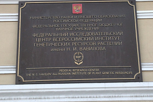 Защита и развитие: ВИР запускает программу генетической паспортизации растений