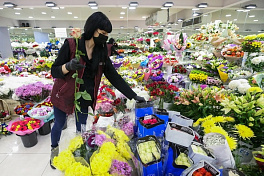 «Клубни поехали в обход». Иностранцы не хотят уступать российский рынок цветов