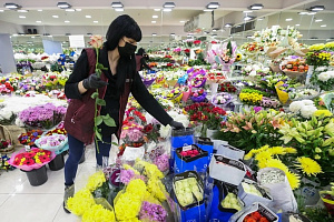 «Клубни поехали в обход». Иностранцы не хотят уступать российский рынок цветов